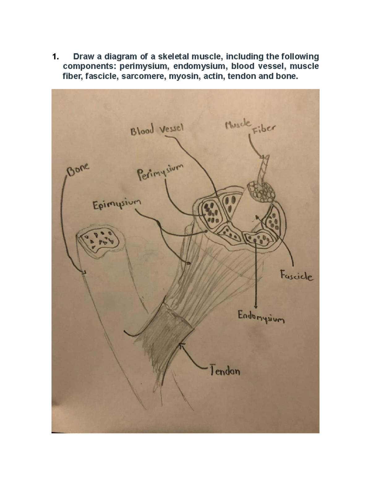 6.  Human Body Challenge: Label These Key External Areas - 46ym39y
