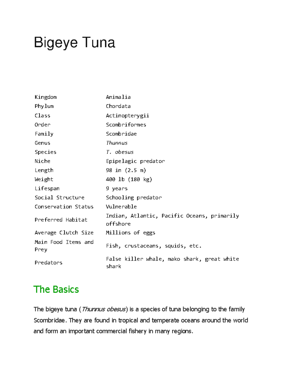 Bigeye Tuna Bigeye Tuna Kingdom Animalia Phylum Chordata Class