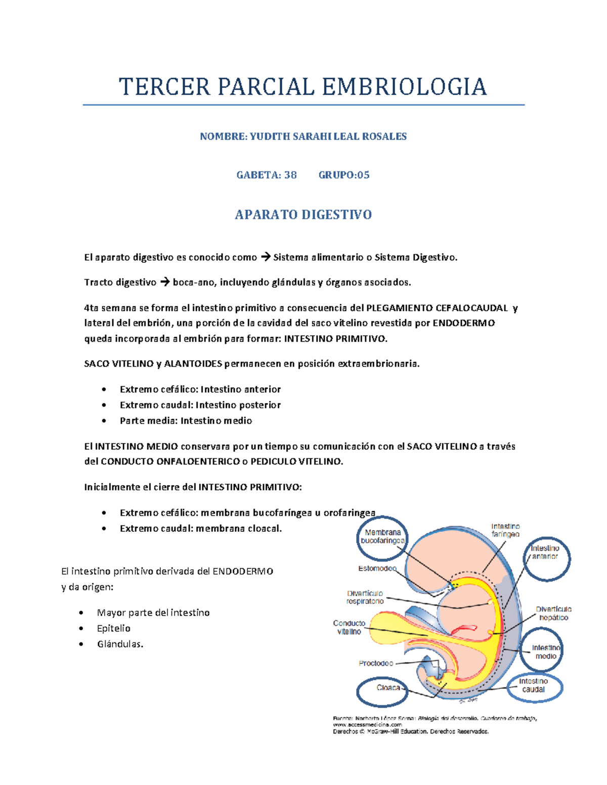 La agenesia renal bilateral causa ausencia de estómago