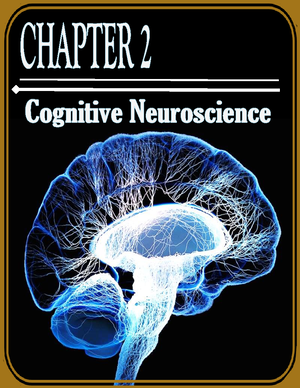 Chapter 2 Cognitive Neuroscience - MIDBRAIN HINDBRAIN A Field Of Study ...