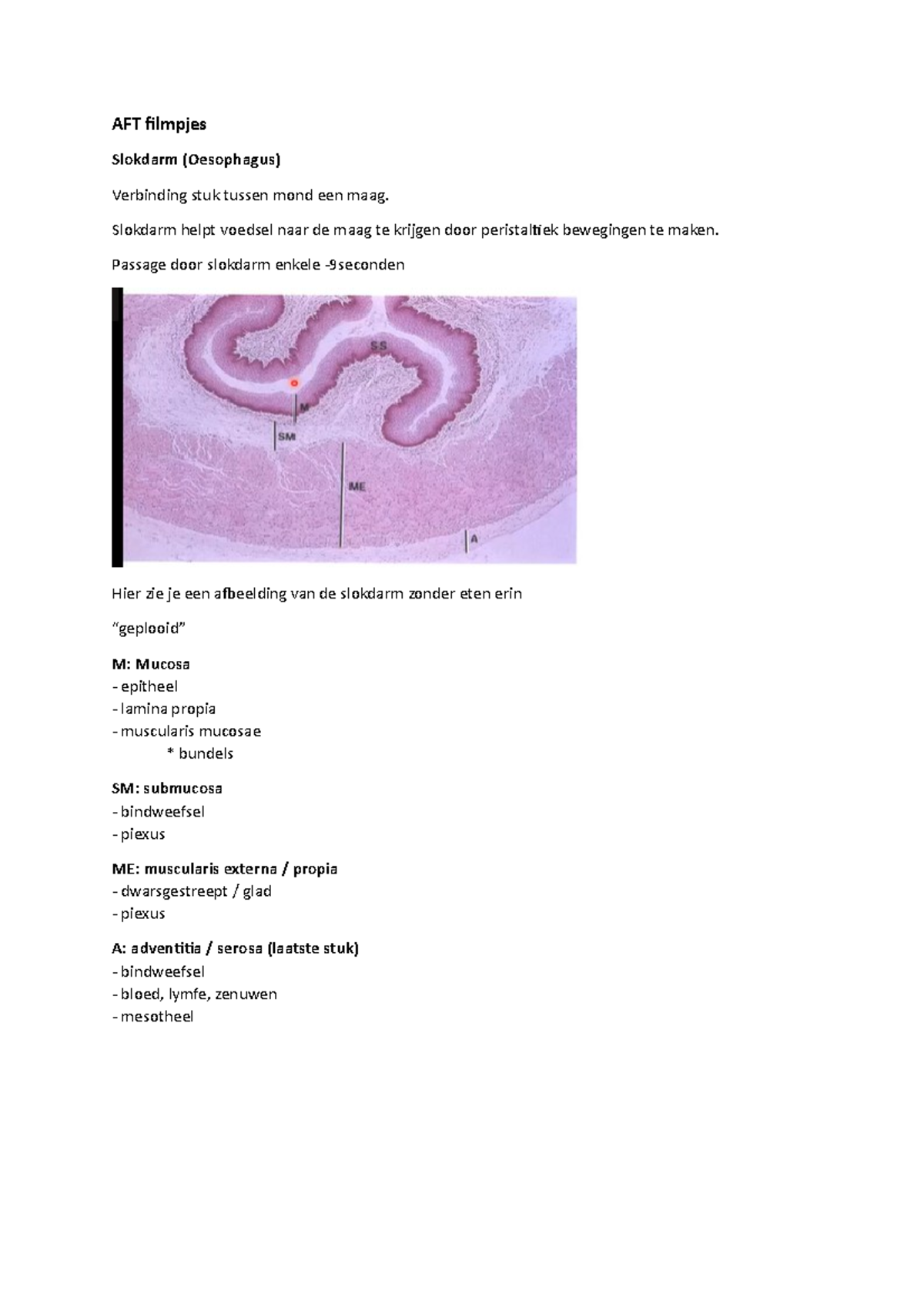 AFT Filmpjes - AFT Filmpjes Slokdarm (Oesophagus) Verbinding Stuk ...