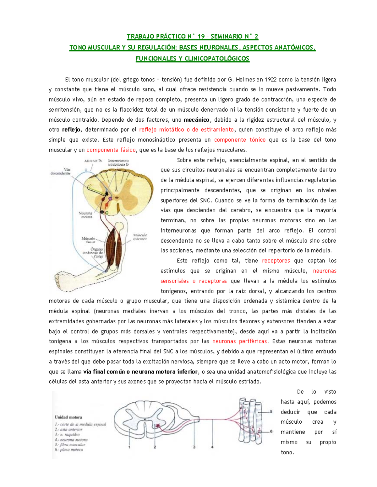 Semneu 2 - Nota: 9 - TRABAJO PRÁCTICO N° 19 – SEMINARIO N° 2 TONO ...