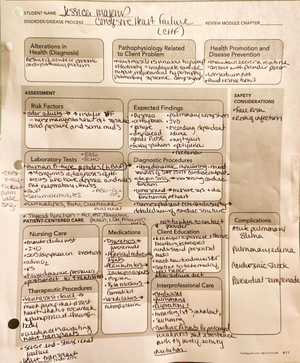 Appendicitis - coursework - ACTIVE LEARNING TEMPLATE: System Disorder ...