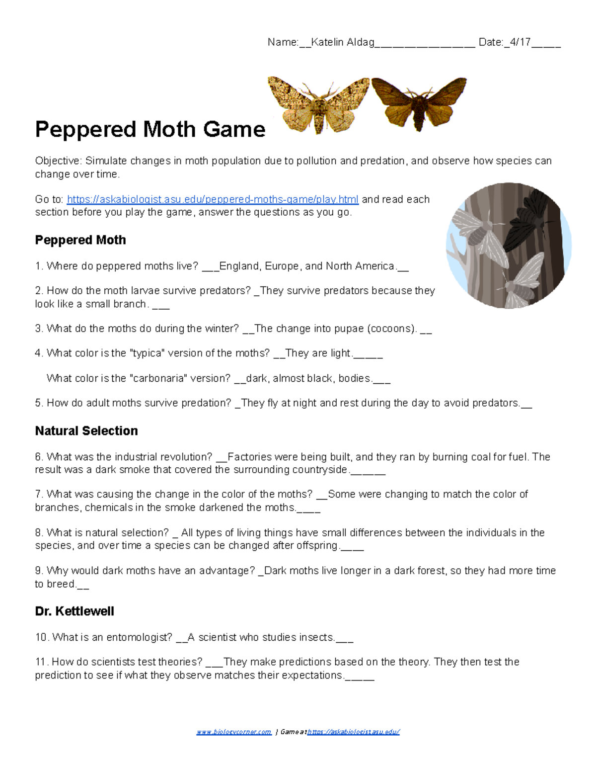 peppered moth experiment game