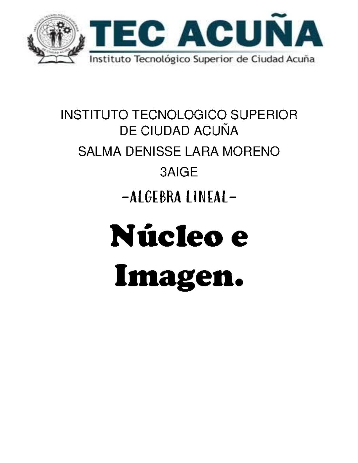 Nucleo E Imagen - INSTITUTO TECNOLOGICO SUPERIOR DE CIUDAD ACUÑA SALMA ...
