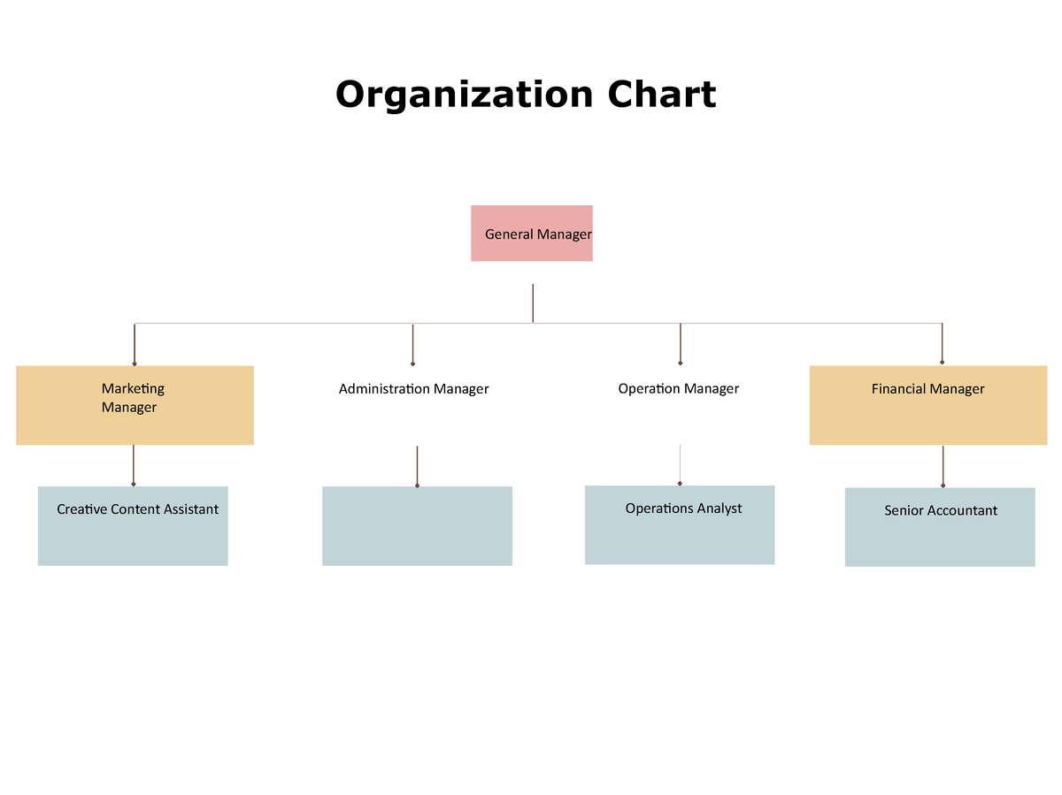 ENT Organization Chart - Marketing Manager Administration Manager ...