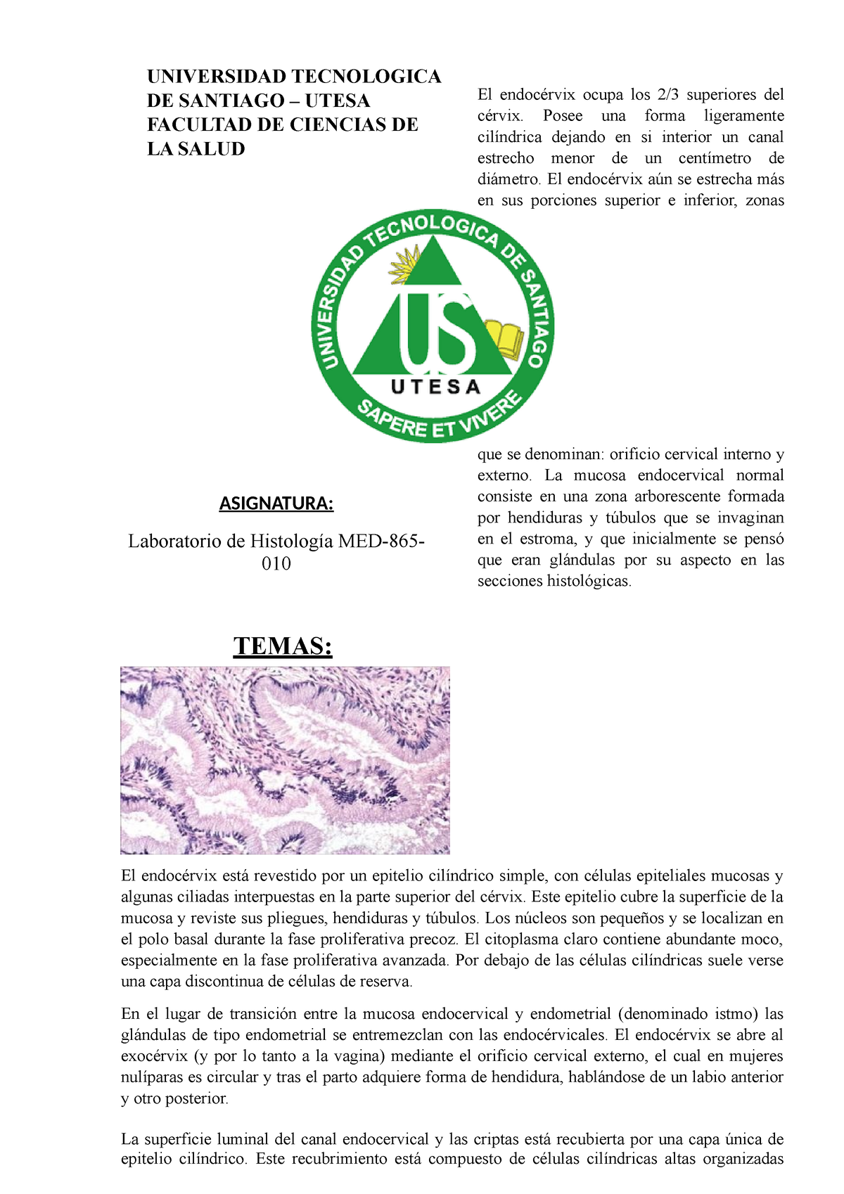 histología del endocérvix