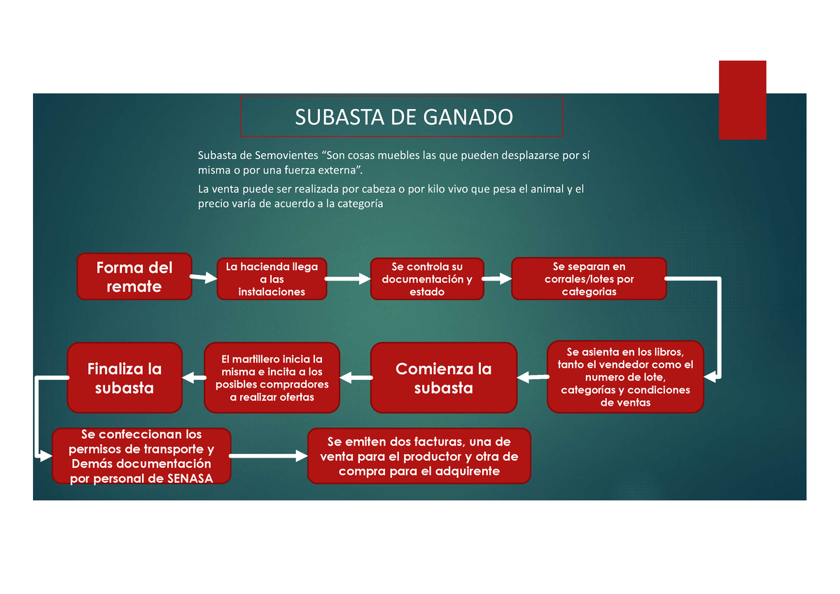 Remate De Hacienda - SUBASTA DE GANADO Subasta De Semovientes “Son ...