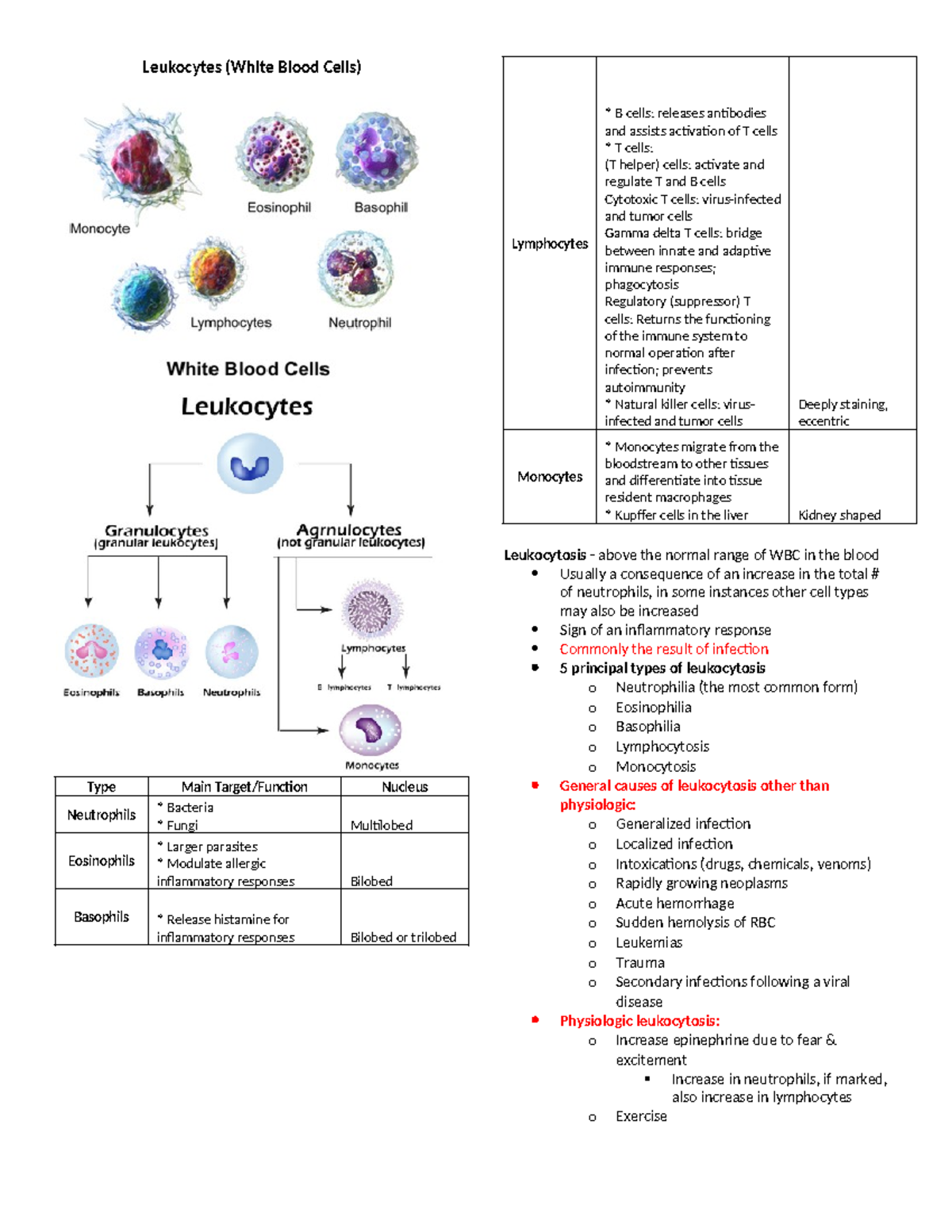 Leukocytes - All about leucocytes - Leukocytes (White Blood Cells) Type ...