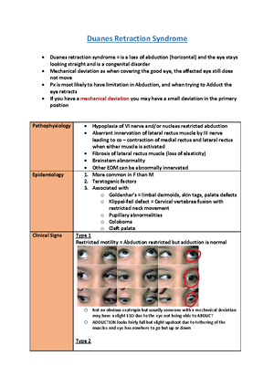 3rd nerve palsy oculomotor nerve palsy notes - 3 rd nerve palsy ...