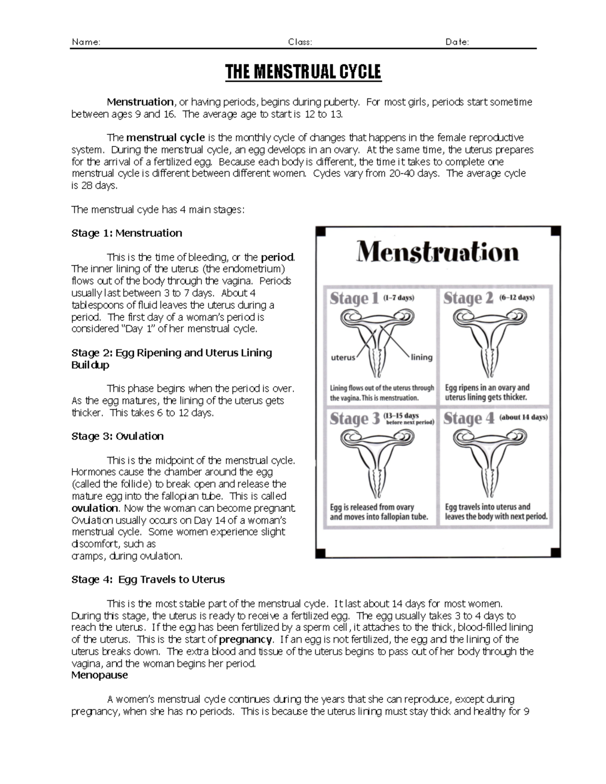 Heredity ch 6 menstrual cycle worksheet - Name: Class: Date: THE ...
