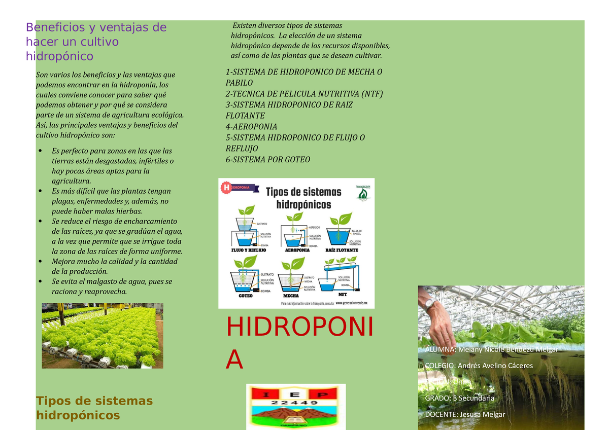 Beneficios Y Ventajas De Hacer Un Cultivo Hidropónico - Beneficios Y ...