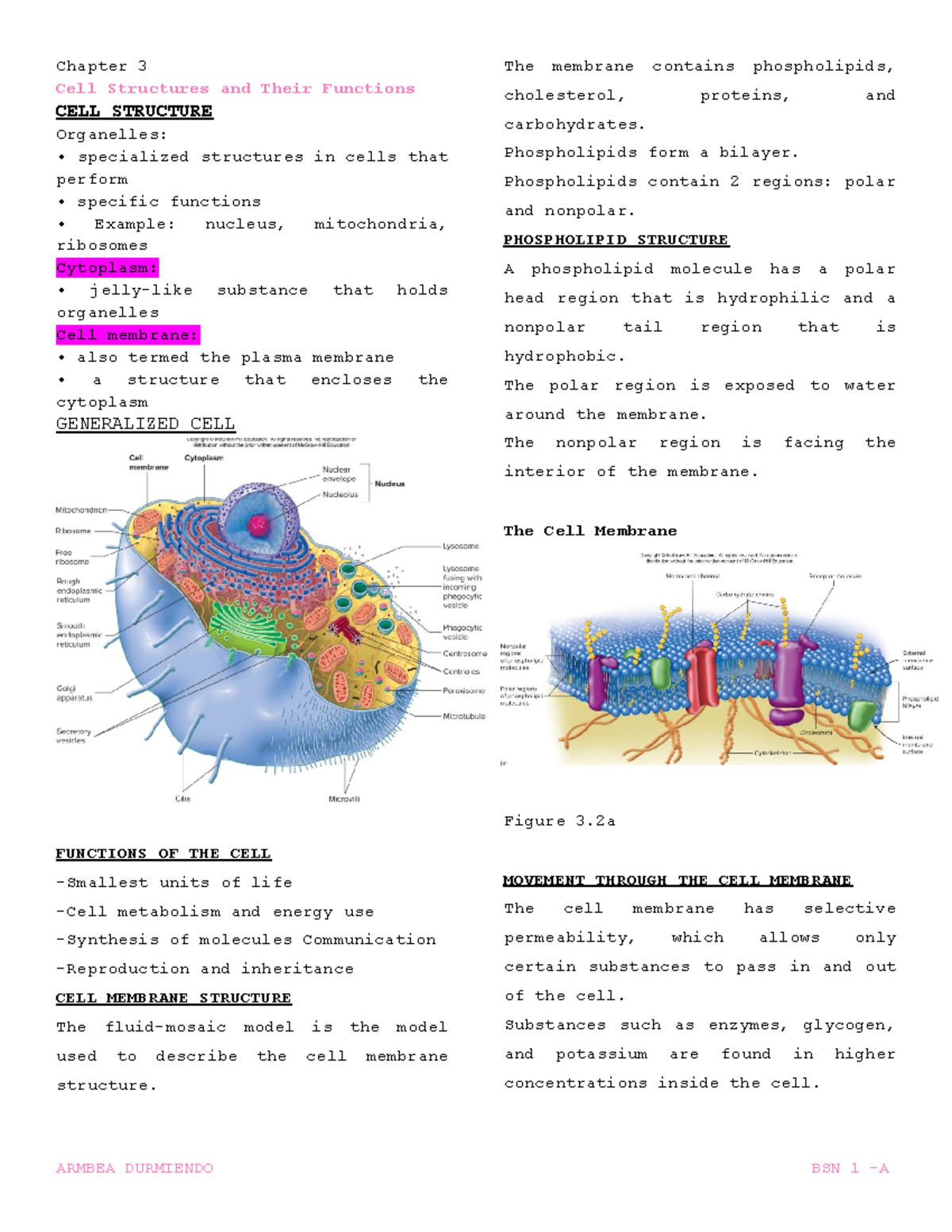 Chapter 3 CELL Transcript - Chapter 3 Cell Structures and Their ...
