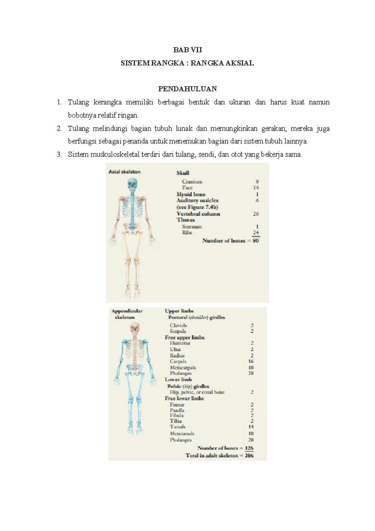 BAB VII - THE SKELETAL SYSTEM: THE AXIAL SKELETON - BAB VII SISTEM ...