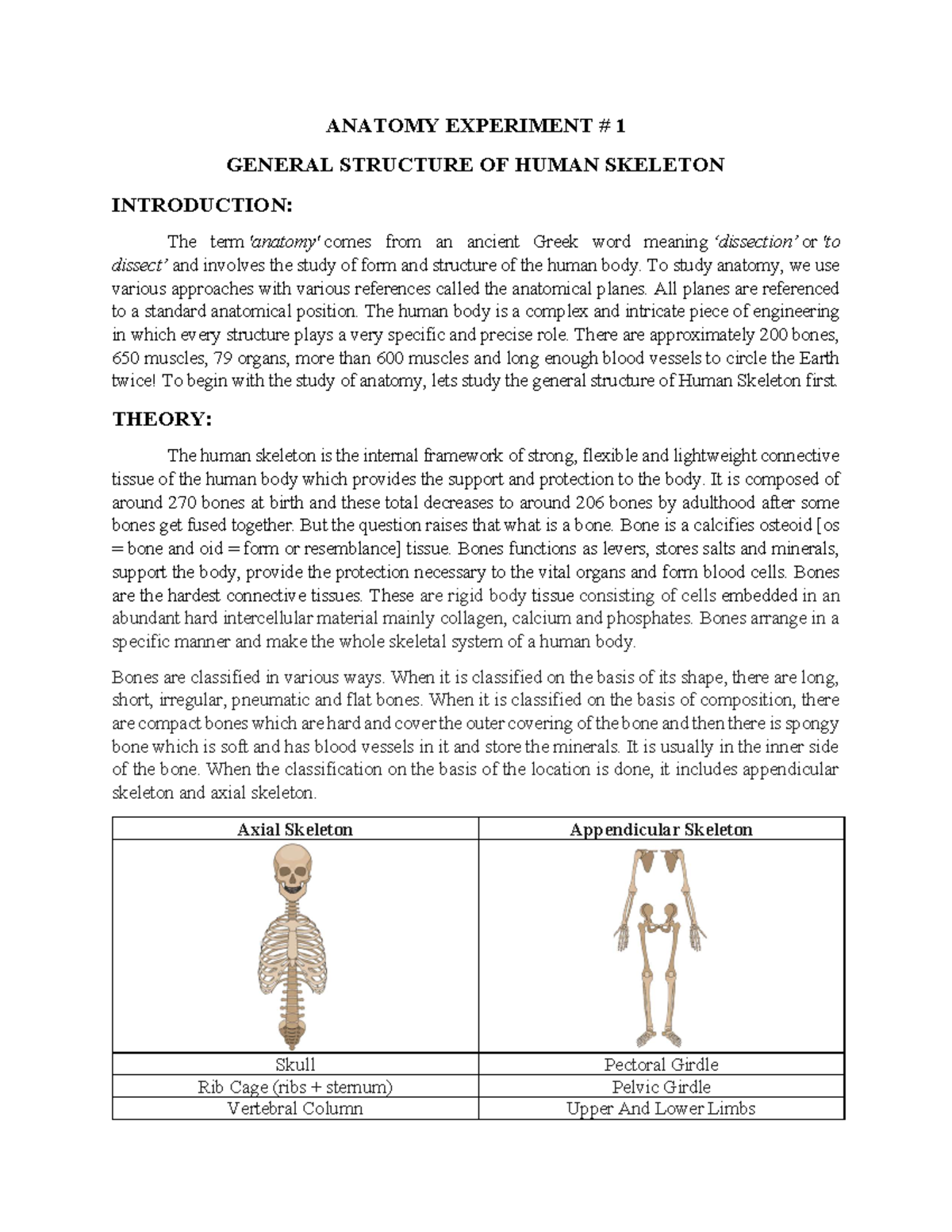 experimental anatomy examples