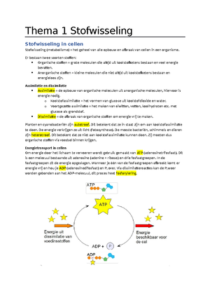 Online Thema 1 Regeling - 1 Regeling Homeostase Het In Stand Houden Van ...