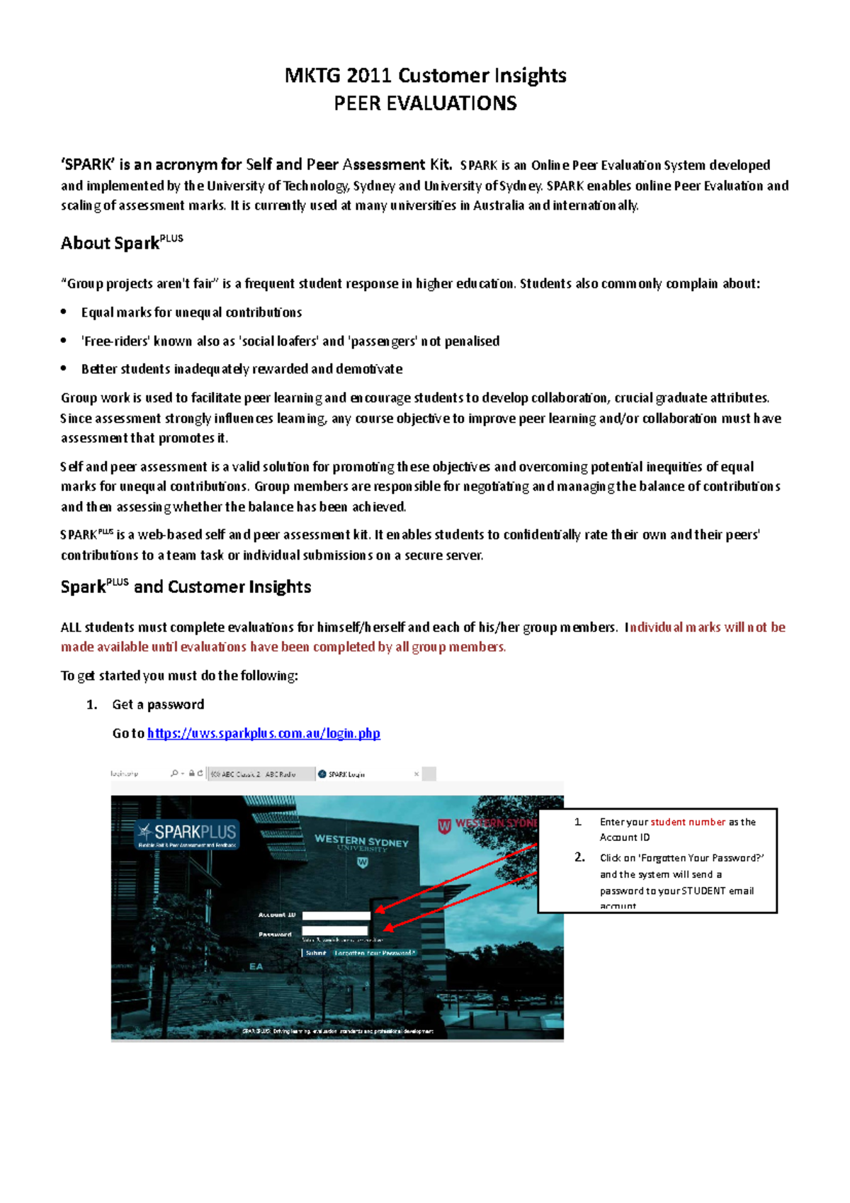 Spark Student instructions MKTG 2011 Customer Insights PEER