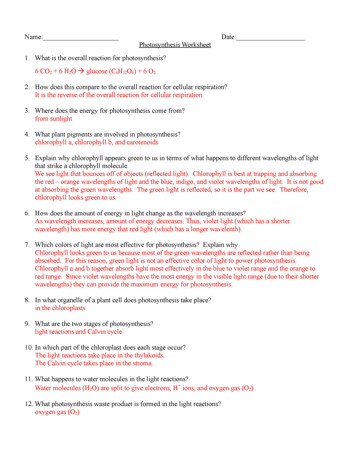 Photosynthesis Worksheet Answers Quizlet