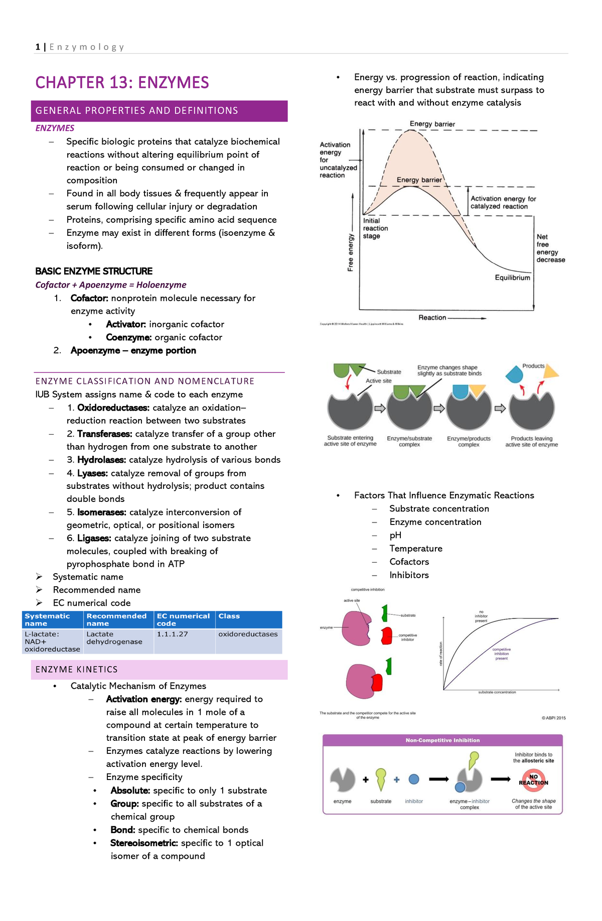 Clinical Chemistry - Enzymology - CHAPTER 13 : ENZYMES GENERAL ...