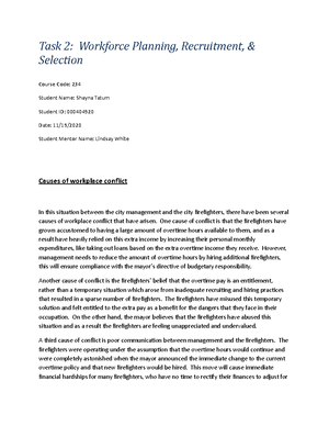 C234 Task 1 Workforce Planning - REM1: Task 1: Workforce Planning ...
