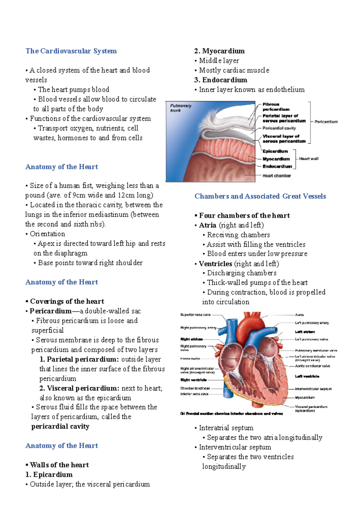 THE Cardiovascular System - The Cardiovascular System A closed system ...