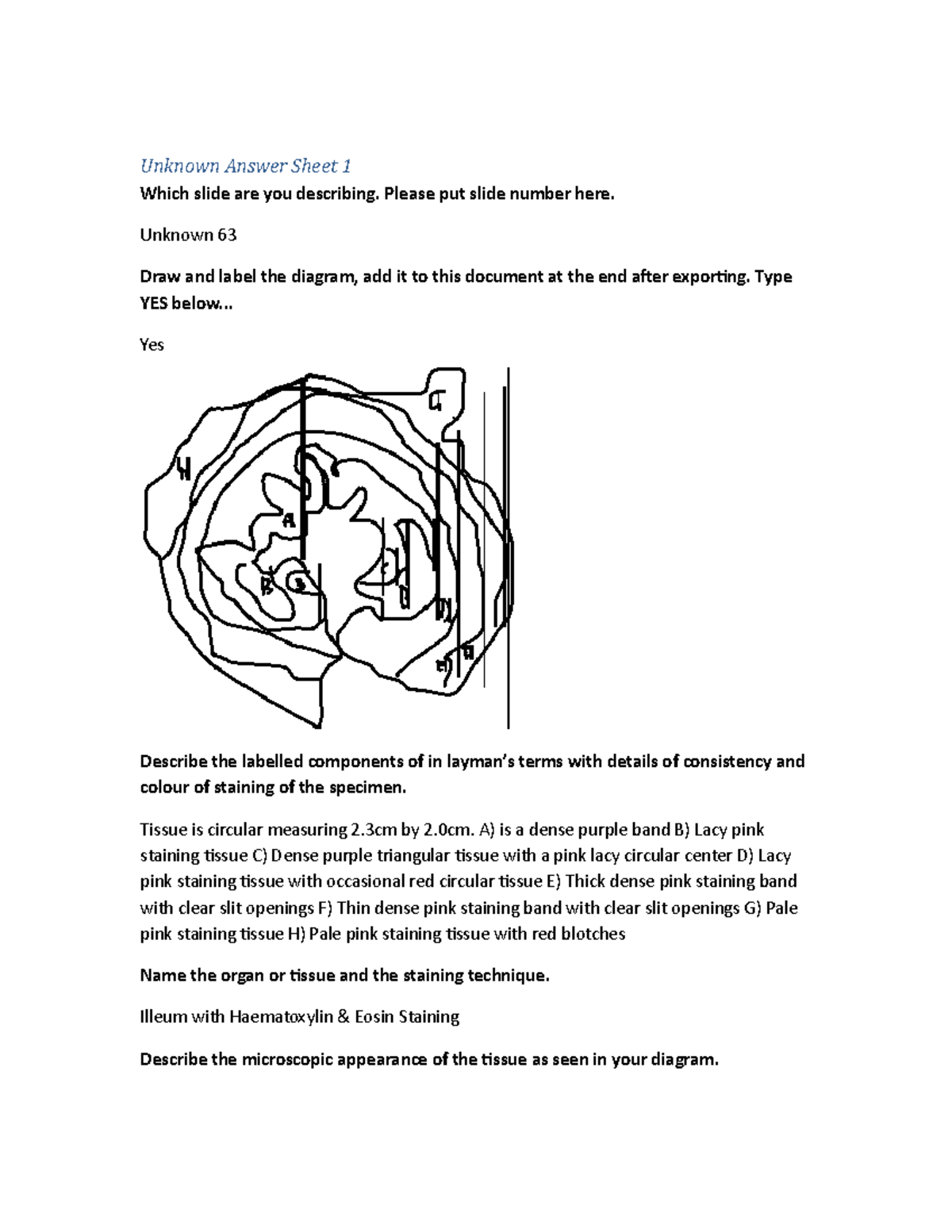 Practical Unknowns week 4 - Unknown Answer Sheet 1 Which slide are you ...