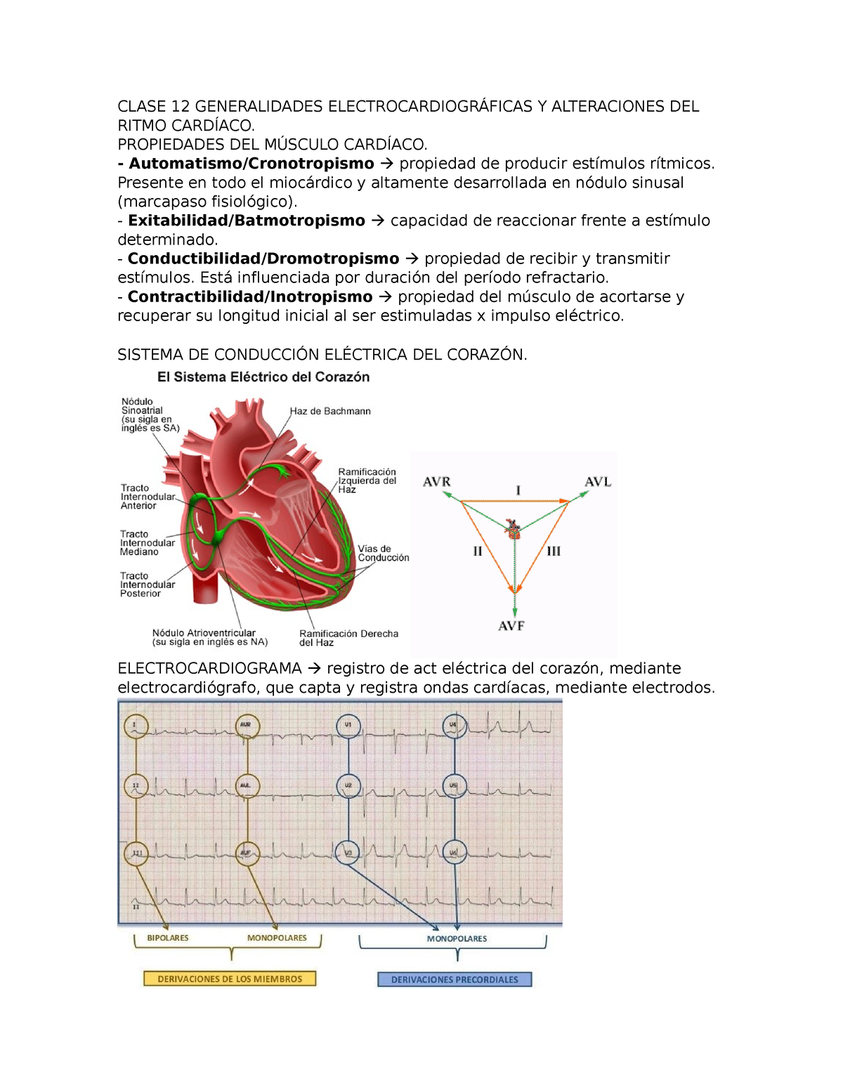 Generalidades Electrocardiográficas Y Alteraciones DEL Ritmo Cardíaco ...