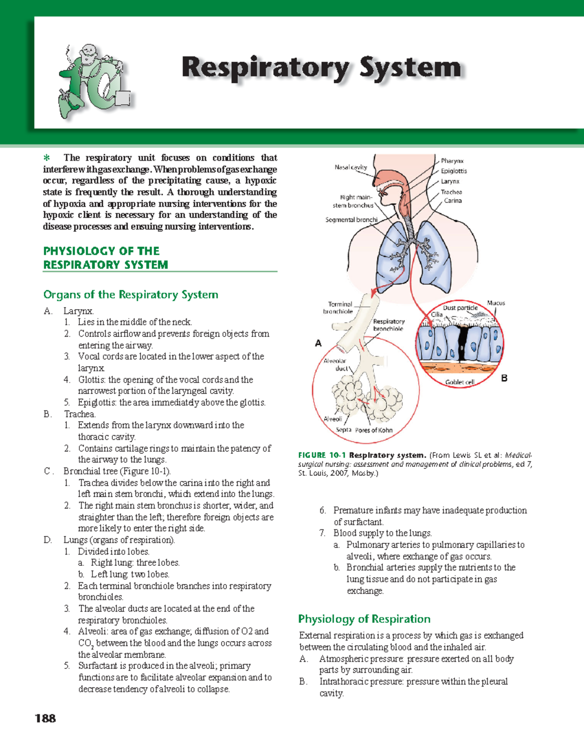 Chapter 10 respiratory 188 Respiratory System 6. Premature infants