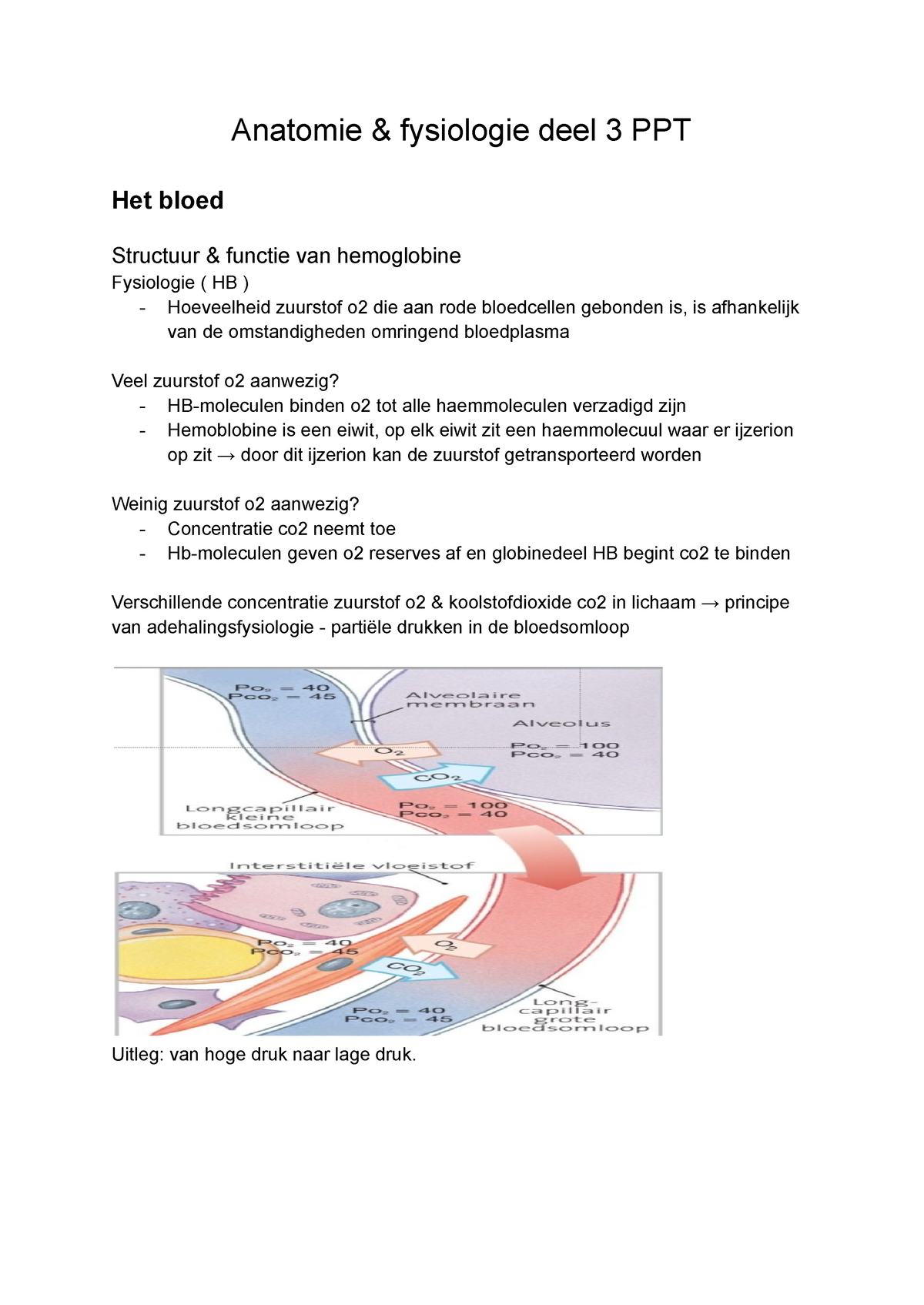 Anatomie & Fysiologie Deel 3 Uitleg Ppt - Anatomie & Fysiologie Deel 3 ...