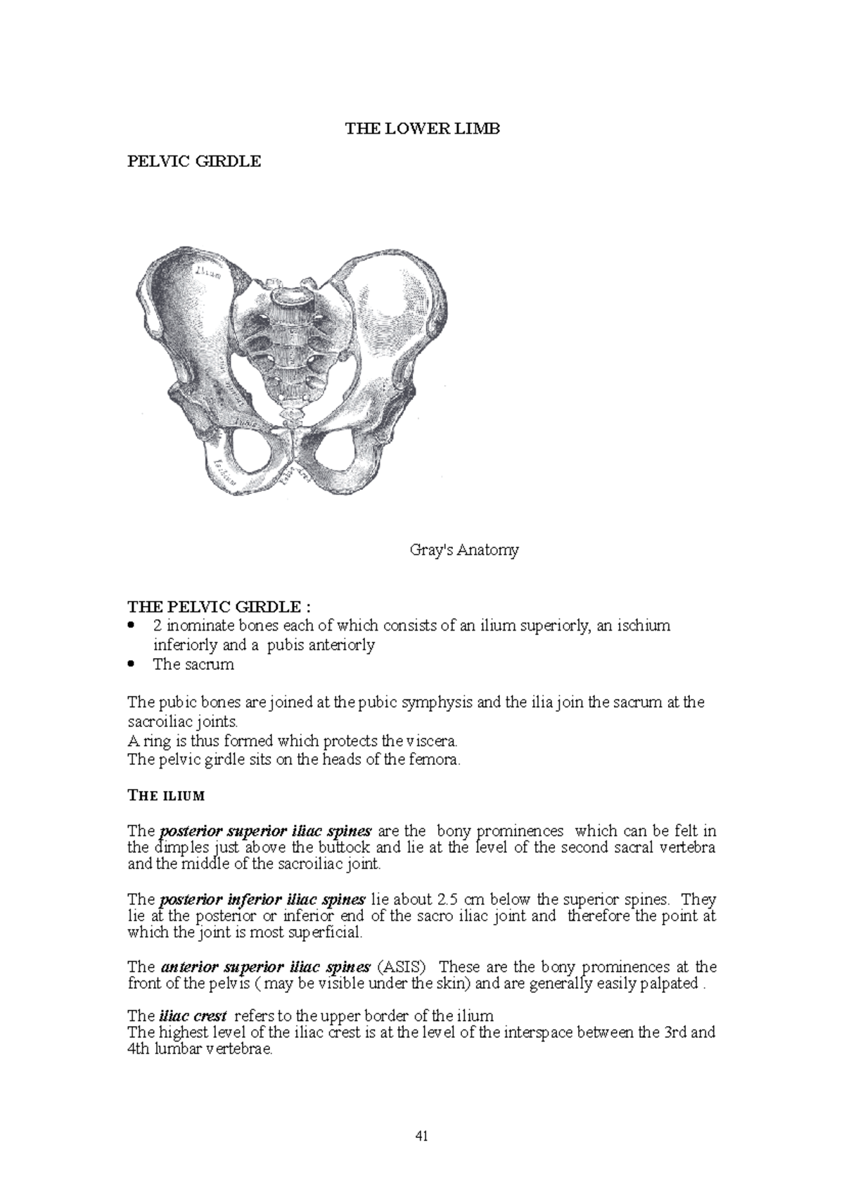 Lower Limb Anatomy - THE LOWER LIMB PELVIC GIRDLE Anatomy THE PELVIC ...