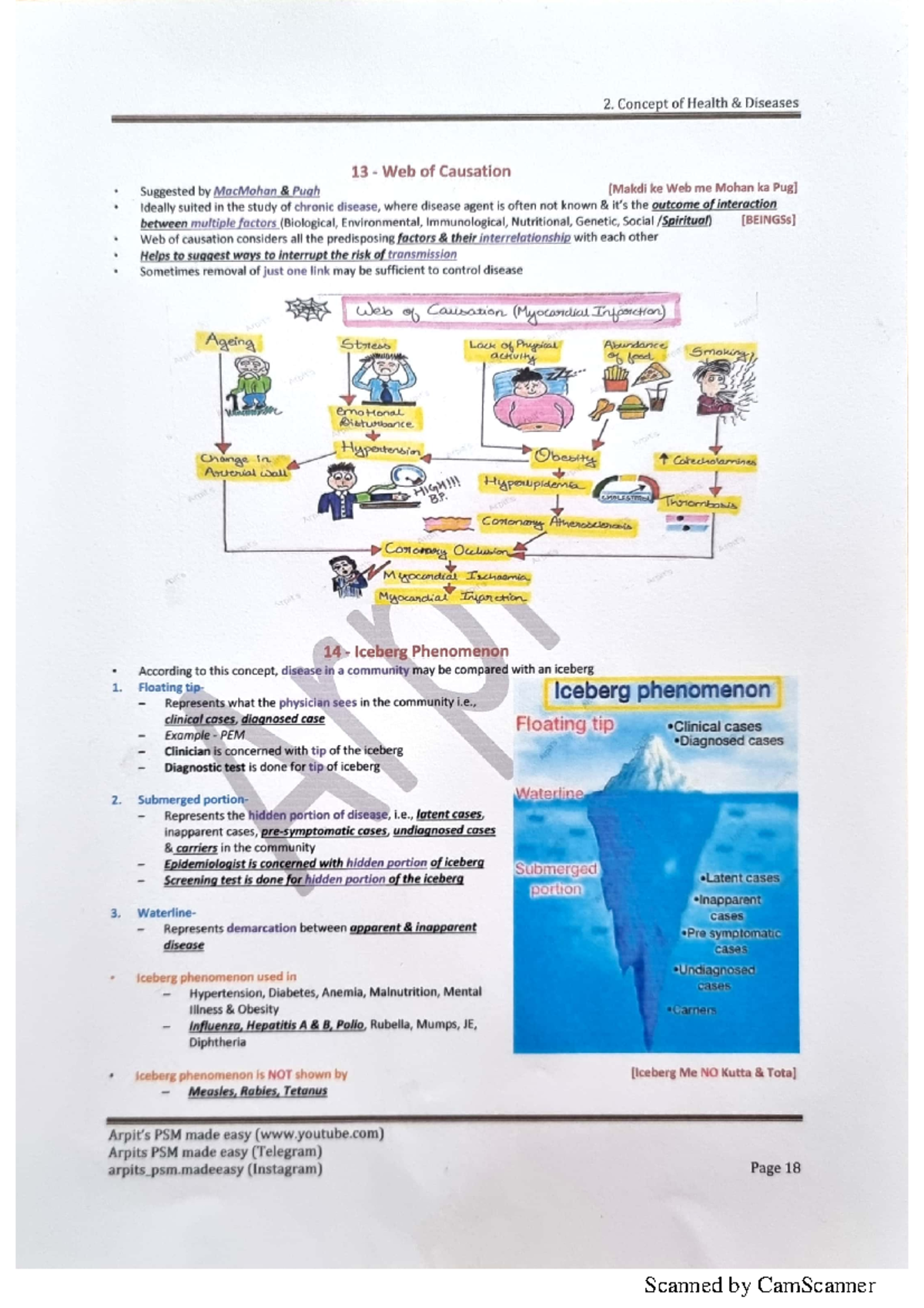 Iceberg phenomenon - Chinese Medicine - Scanned by CamScanner - Studocu