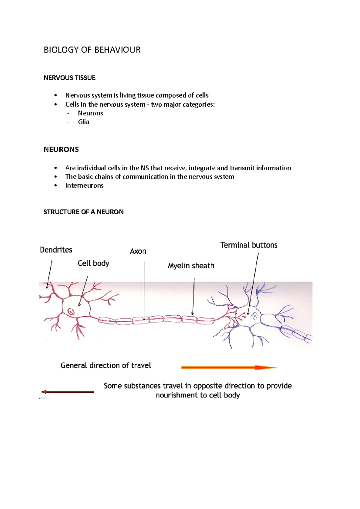 Psychology Chapter 3 Notes - BIOLOGY OF BEHAVIOUR NERVOUS TISSUE ...
