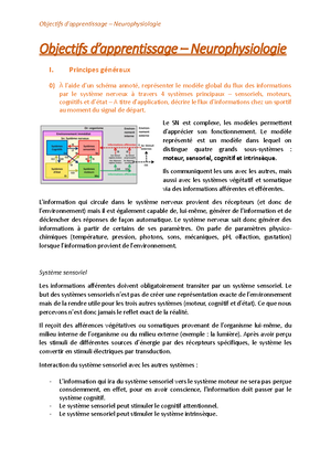 Objectifs Intéro Neuro-anat - Objectifs neuroanatomie Interrogation ...