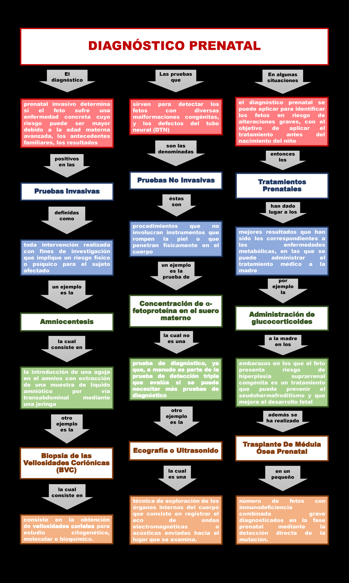 Diagnóstico Prenatal - DIAGNÓSTICO PRENATAL El Diagnóstico Las Pruebas ...