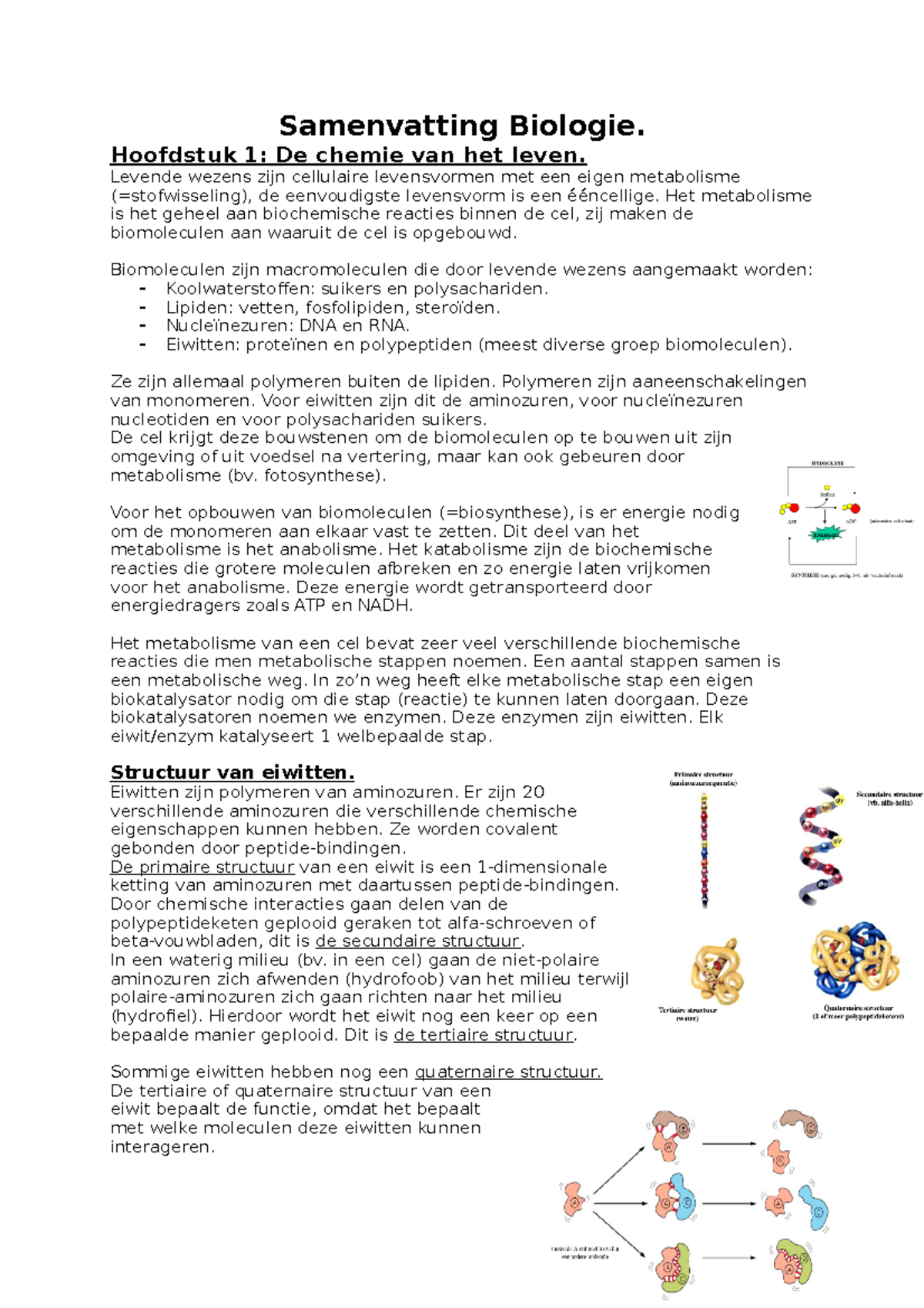 Samenvatting Biologie - Hoofdstuk 1: De Chemie Van Het Leven. Levende ...