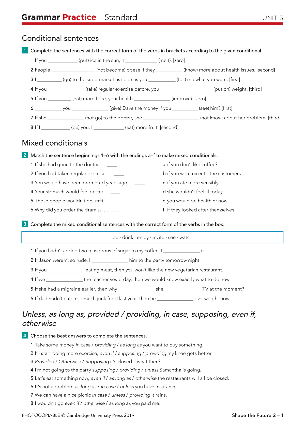 Shape the Future 2 Grammar Practice Standard Unit 3 without answers ...