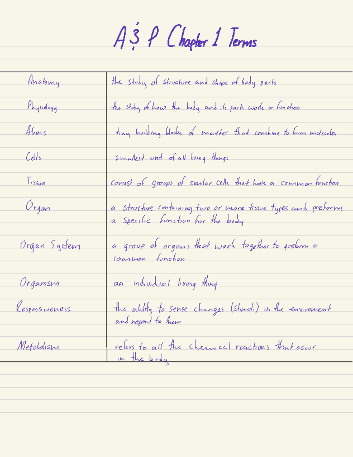 Anatomy And Physiology chapter 1 Terms - A&P Chapter 1 Terms Anatomy ...