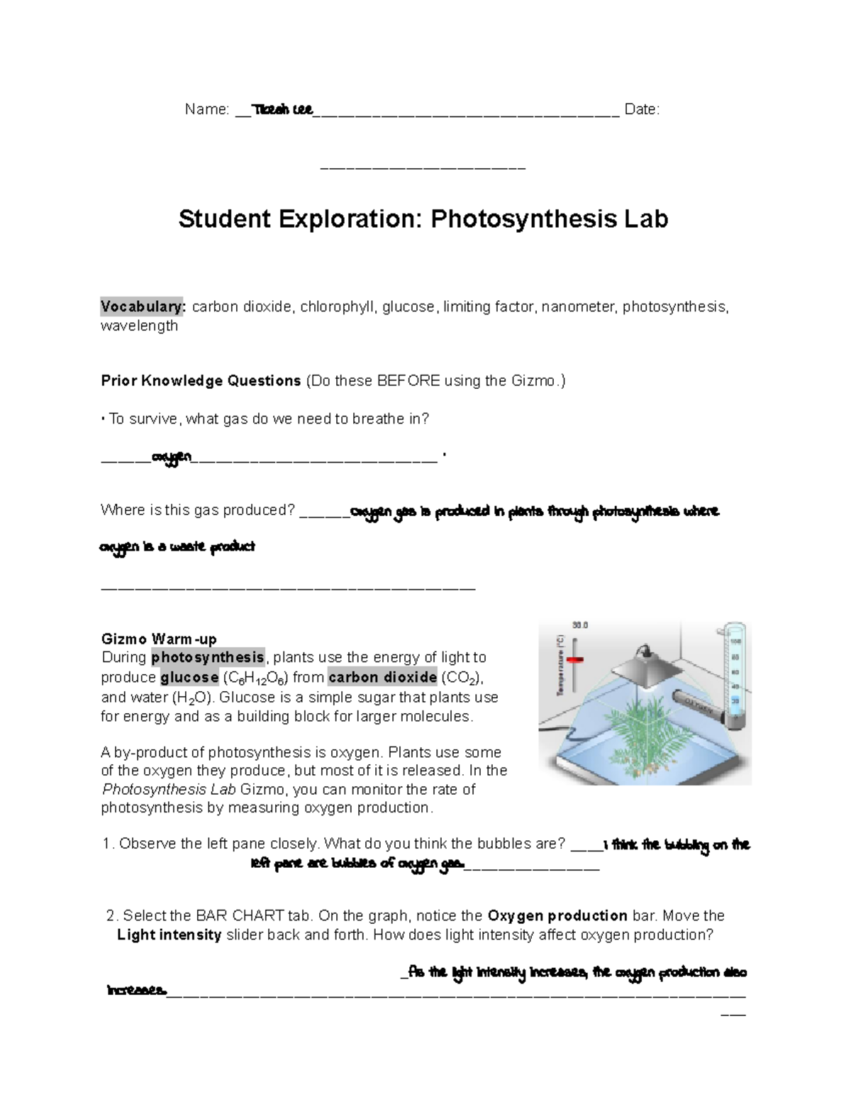 Photosynthesis Lab Gizmo Quiz Answers at Elinor Castiglione blog