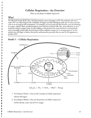 Lab number two Biology - Lab 2: Evolution I How would biologists ...