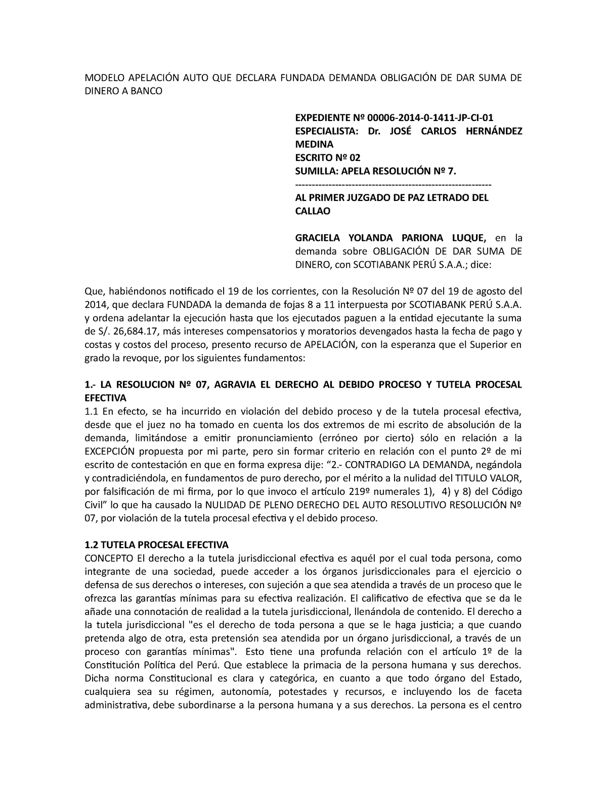 Modelo De Demanda De Obligacion De Dar Suma De Dinero 5701