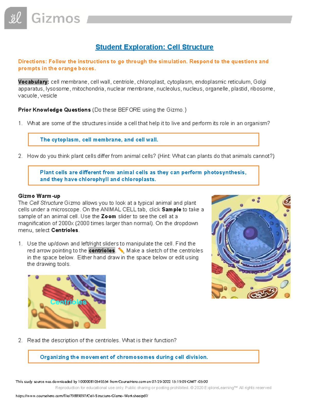 Cell Structure Gizmo Worksheet - Student Exploration: Cell Structure ...