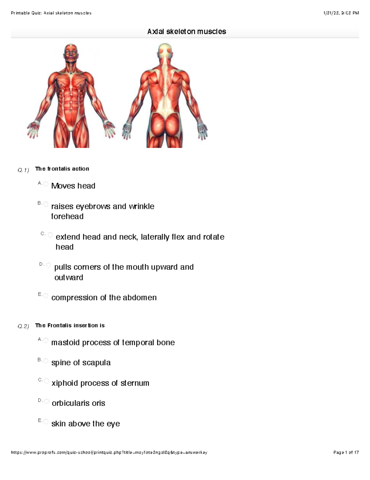 Axial skeleton muscles - Q) The frontalis action Moves head A. raises ...