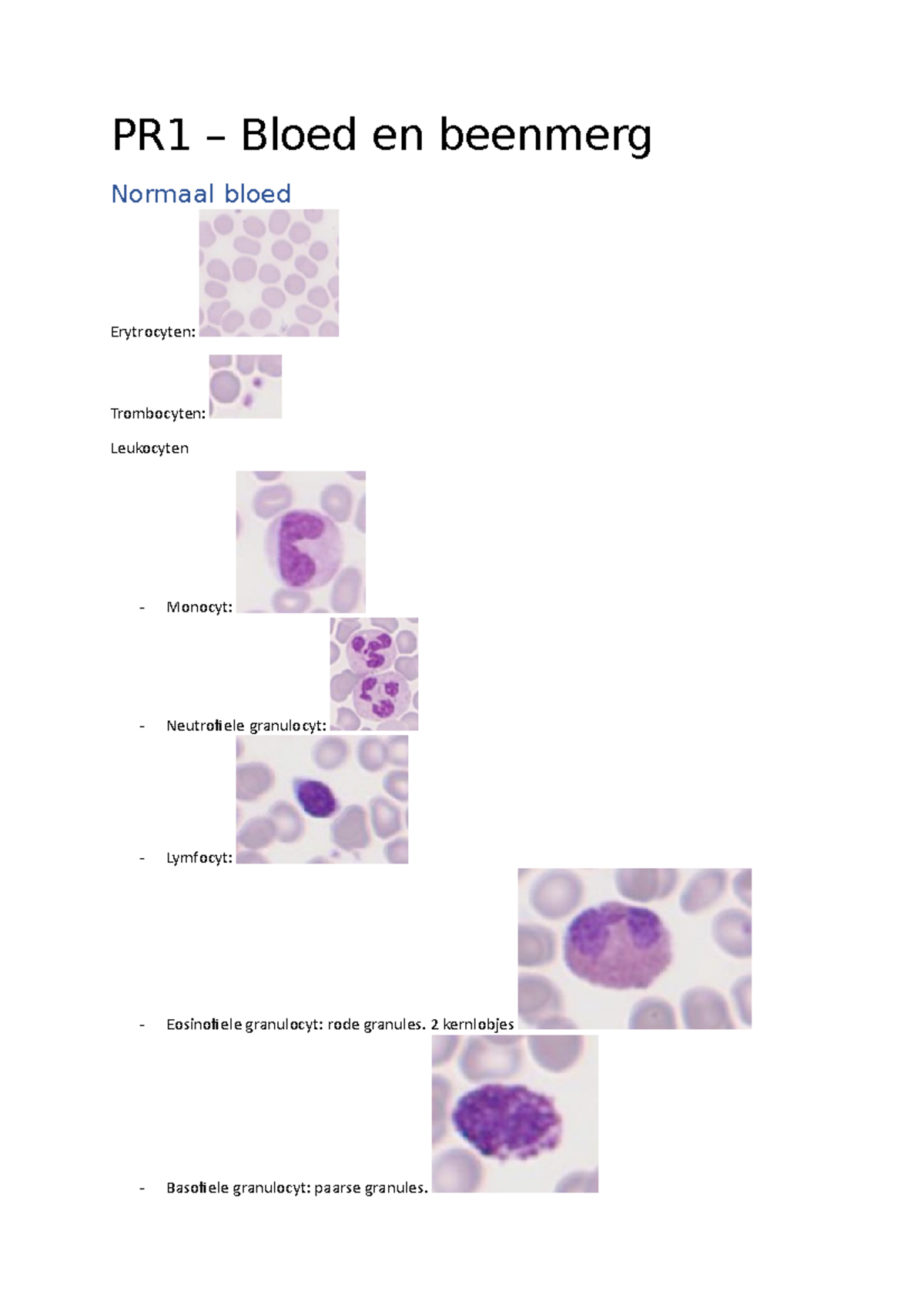 Practicum 1 Bloedcelvorming 16 Maart - PR1 – Bloed En Beenmerg Normaal ...