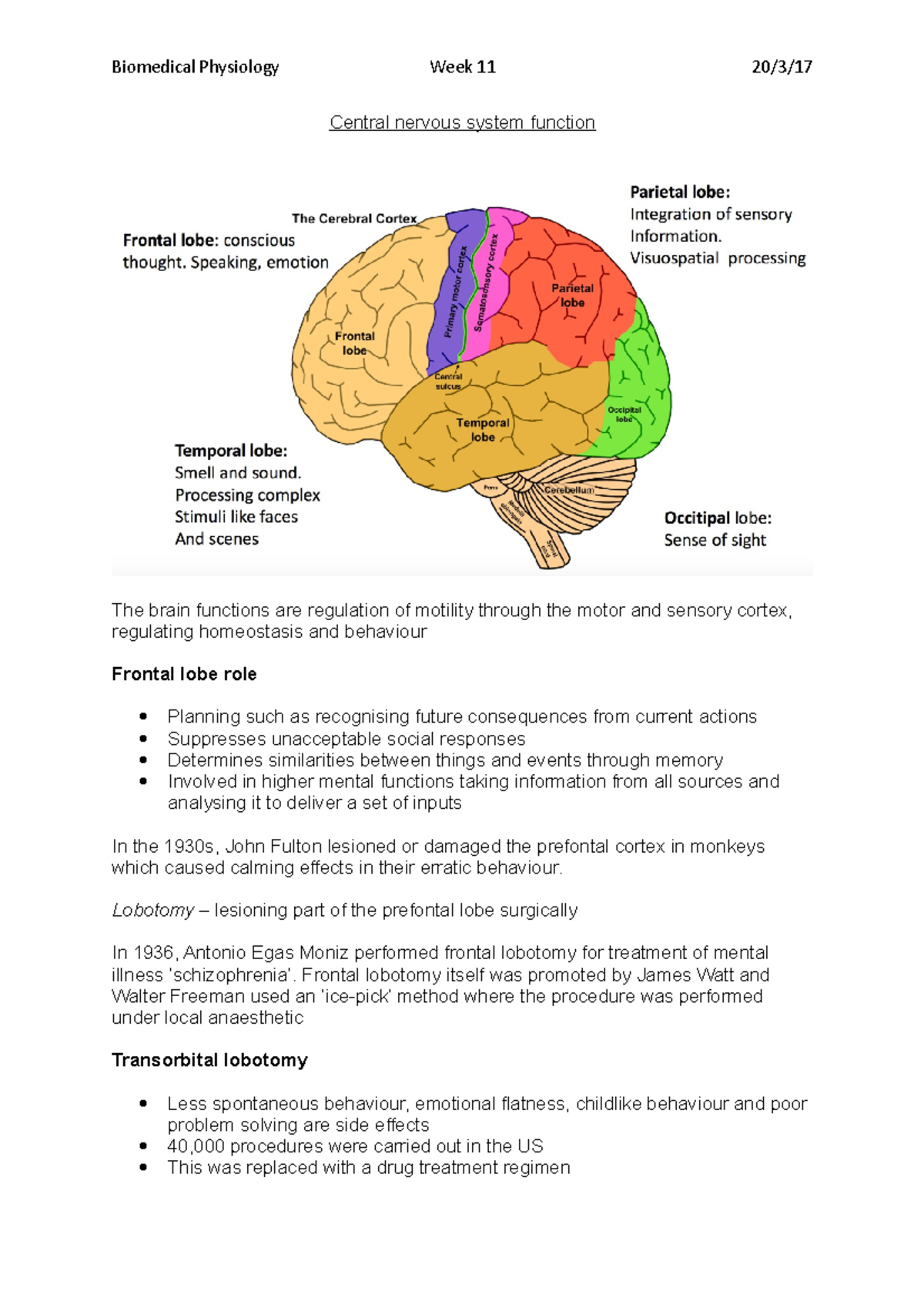 Central nervous system function - Biomedical Physiology Week 11 20/3/17 ...