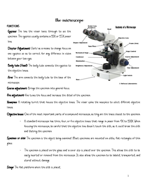 M1 Exercise 3 Microscopy (Lab) - Enumerate (at least 5) different kinds ...