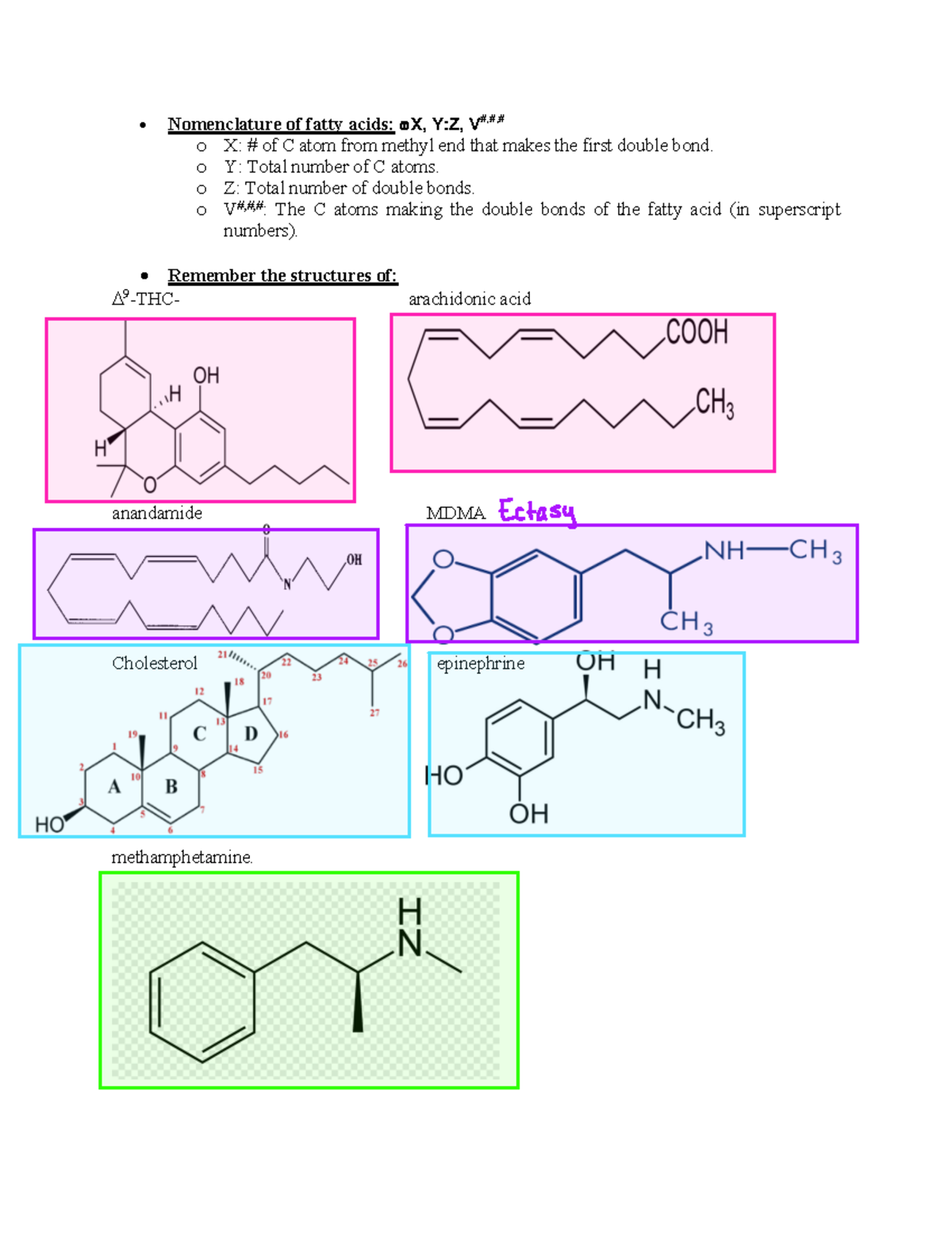 Study Guide Last Exam Nomenclature of fatty acids w X, YZ, V,, o