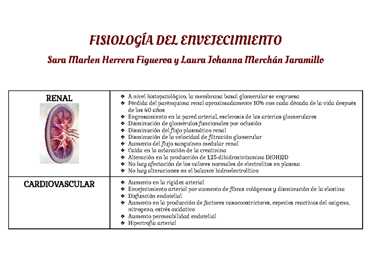 Fisiología Del Envejecimiento - FISIOLOGÍA DEL ENVEJECIMIENTO Sara ...