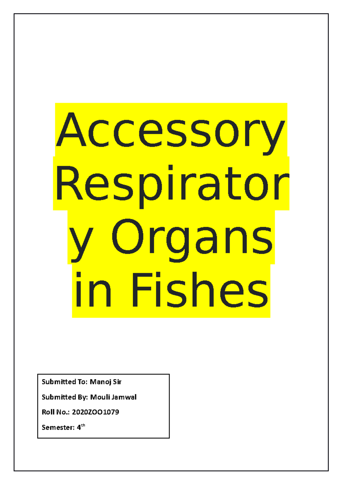 Accessory respiratory organs in fishes Bsc(h) Zoology Delhi