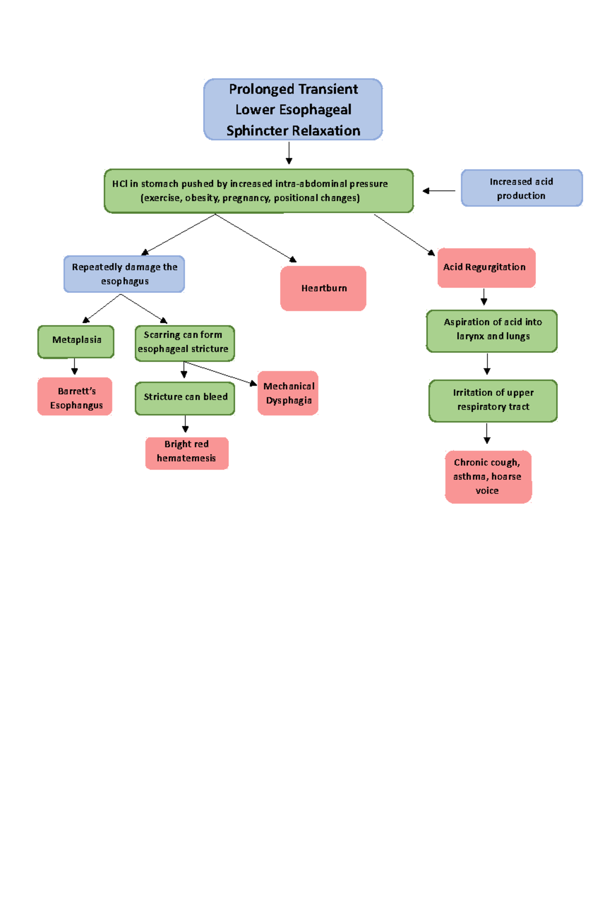 GERD Pathophysiology Prolonged Transient Lower Esophageal Sphincter
