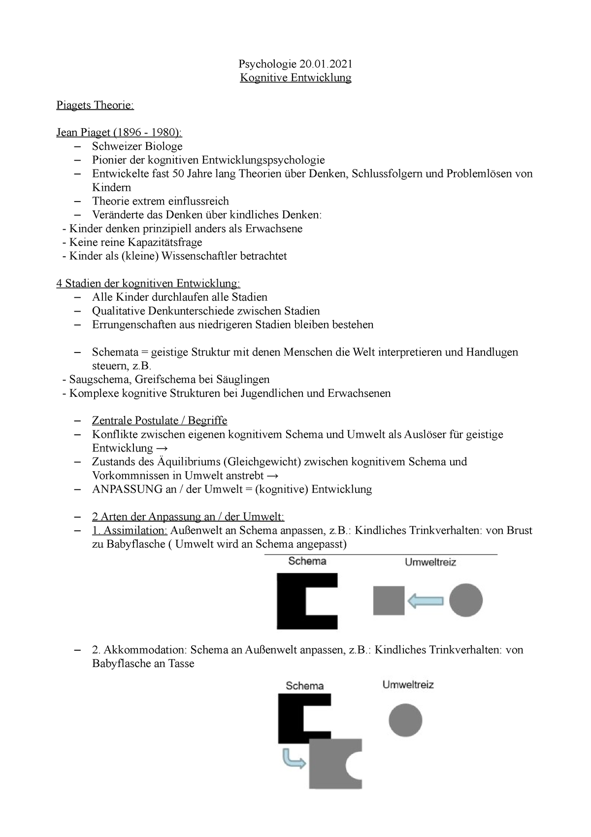 Kognitive Entwicklung Psychologie 20. Kognitive Entwicklung